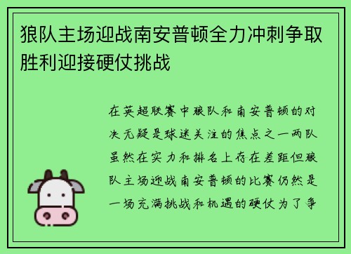 狼队主场迎战南安普顿全力冲刺争取胜利迎接硬仗挑战