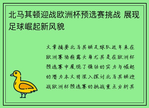 北马其顿迎战欧洲杯预选赛挑战 展现足球崛起新风貌