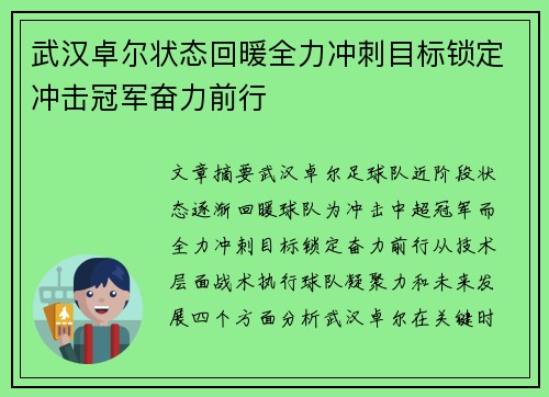 武汉卓尔状态回暖全力冲刺目标锁定冲击冠军奋力前行